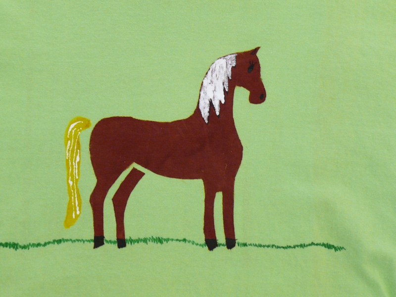 Klárky koník na zeleném tričku